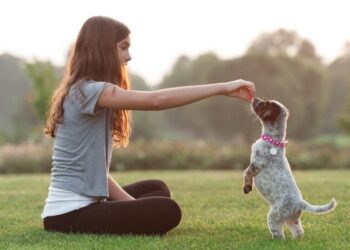 Socialization Secrets: Building a Confident Pet