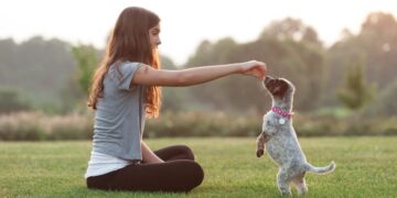 Socialization Secrets: Building a Confident Pet