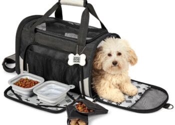 The Smart Home: Essential Pet Gear Guide