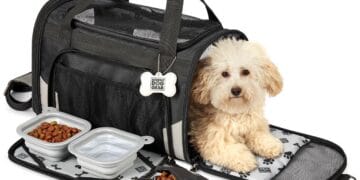 The Smart Home: Essential Pet Gear Guide