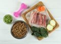 Your Pet’s Best Life: Nutrition Secrets Revealed