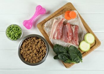Your Pet’s Best Life: Nutrition Secrets Revealed