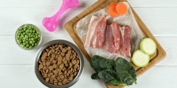 Your Pet’s Best Life: Nutrition Secrets Revealed