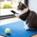 Your Pet’s Best Life: Behavior Secrets Revealed