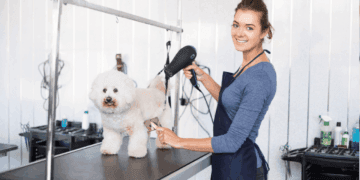 Grooming Mastery: Pro Tips for Home Pet Care