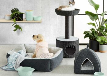 Chic Accessories: Blending Pet Needs With Style