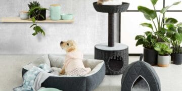 Chic Accessories: Blending Pet Needs With Style