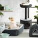 Chic Accessories: Blending Pet Needs With Style