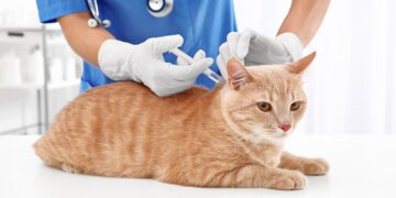 Guarding Your Best Friend: The Ultimate Health Shield