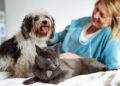 Keep the Kisses Coming: Pet Dental Health Guide