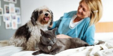 Keep the Kisses Coming: Pet Dental Health Guide