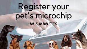 Register your pets microchip in 3 easy steps - First Street Pets