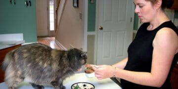 The Polarizing Debate: Raw Pet Food Diets